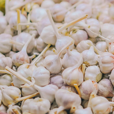 Produktfoto zu Knoblauch trocken
