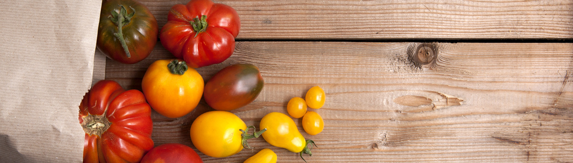 Tomaten in Papiertüte