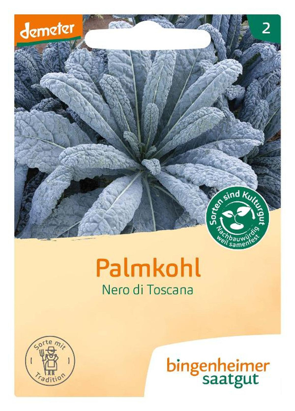 Produktfoto zu Palmkohl Nero di Toscana