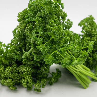 Produktfoto zu Petersilie, kraus