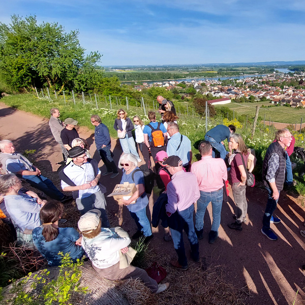 Besuch beim Weingut Raddeck