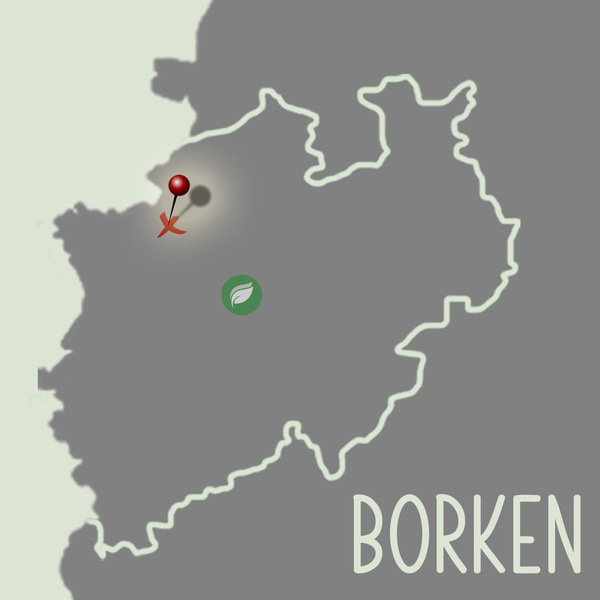 Borken