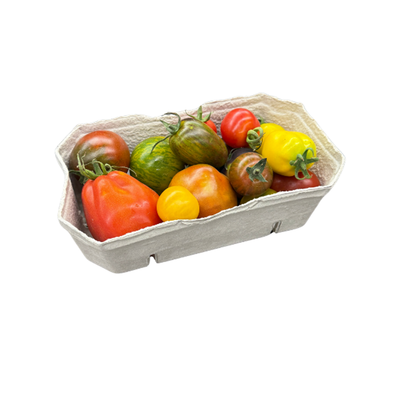 Produktfoto zu Historische Tomaten 1kg