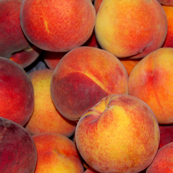 Produktfoto zu Pfirsiche