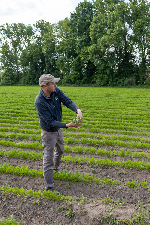 Besuch beim Weingut Raddeck