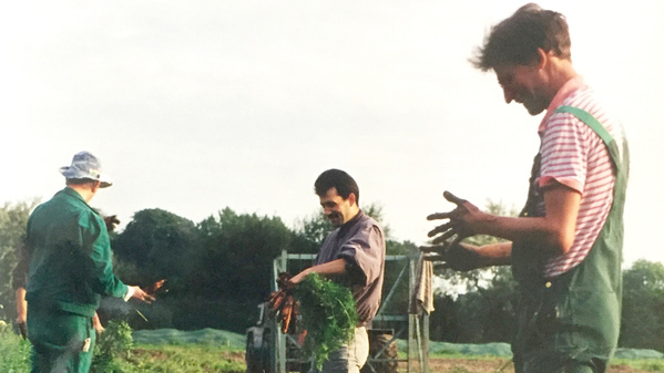 KI generiert: Drei Personen ernten frische Karotten auf einem Feld bei Tageslicht.