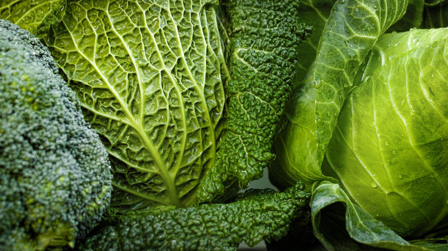 Rezeptbild für Wirsing-Lasagne mit Pilzen