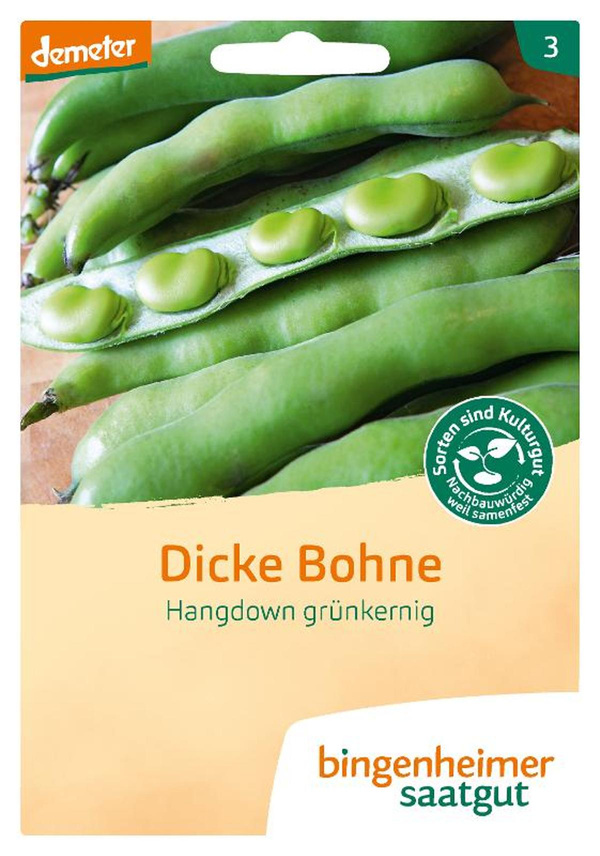 Produktfoto zu Dicke Bohne Hangdown