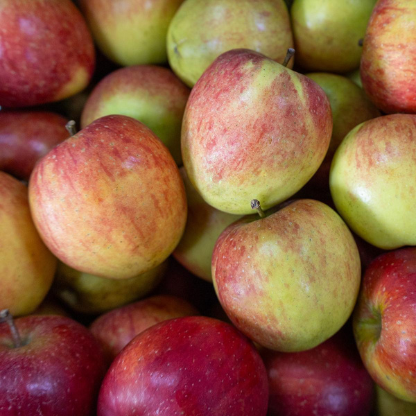 Produktfoto zu Apfel, 8kg Natyra