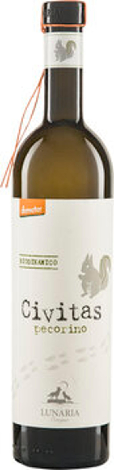 Produktfoto zu CIVITAS Pecorino Terre di Chieti IGP 2024 6x0,75l