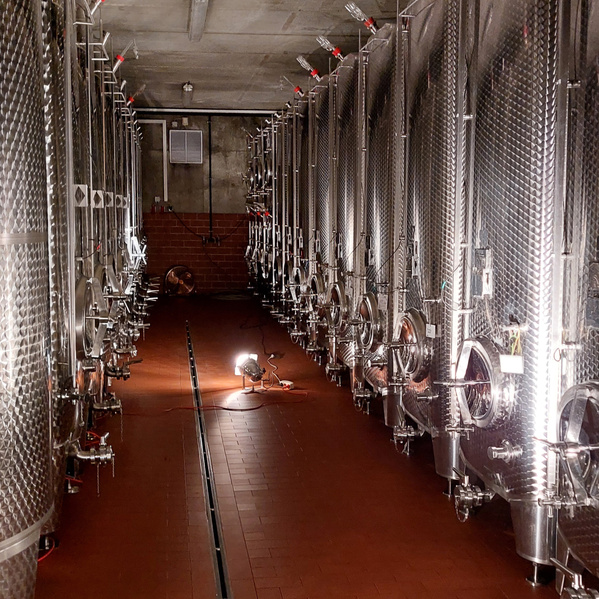 Besuch beim Weingut Raddeck