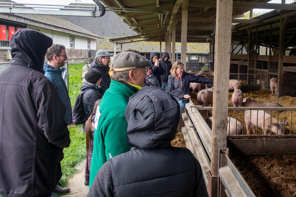 Hannd mit Moorpflanze