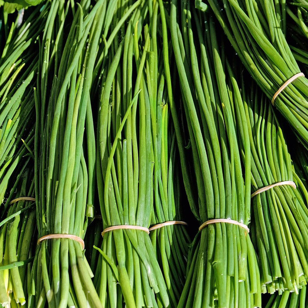 Produktfoto zu Schnittlauch, Bund