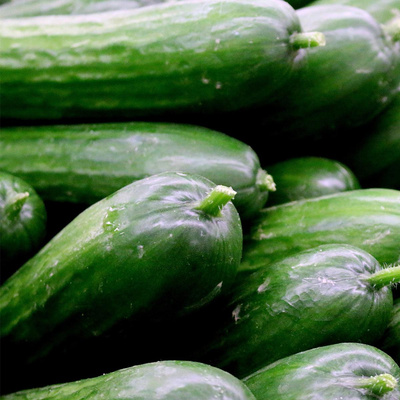 Produktfoto zu Schlangengurken, 12 Stück