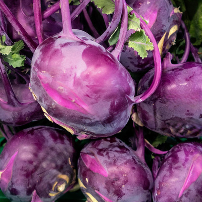 Produktfoto zu Kohlrabi blau_weiß