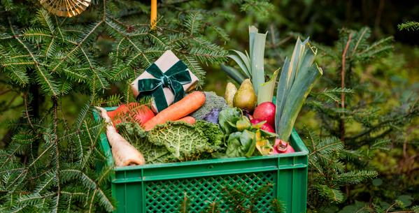 KI generiert: Eine Kiste voller Gemüse und Obst, dekoriert mit einem kleinen Geschenk, befindet sich auf Tannenzweigen.