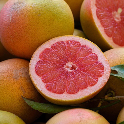 Produktfoto zu Grapefruit