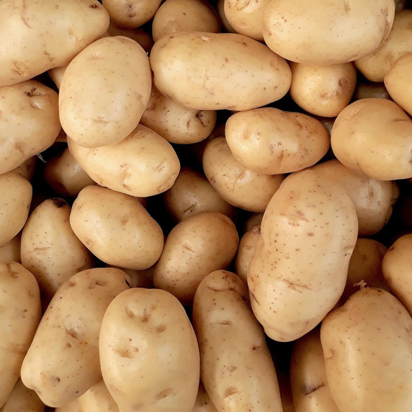 Produktfoto zu Kartoffeln vfk, 12,5kg, Columbia