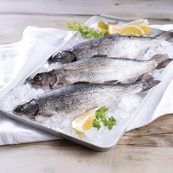 Produktfoto zu Frische Forellen, 4 Stück MHD 03.04._06.04.