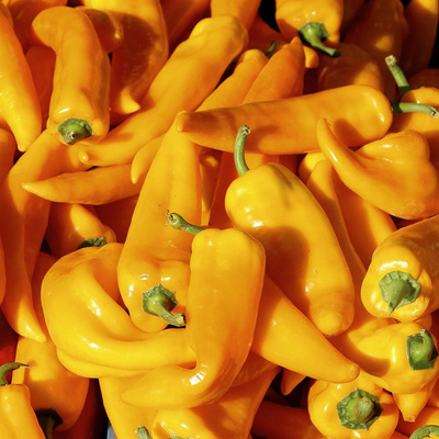 Produktfoto zu Paprika hellgelb spitz