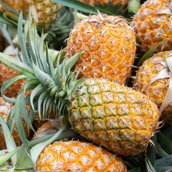 Produktfoto zu Ananas, 0,8kg