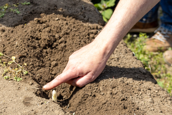 Besuch auf dem Biohof Schulz-Wethmar