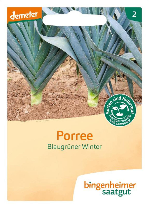 Produktfoto zu Porree Blaugrüner Winter Lauch