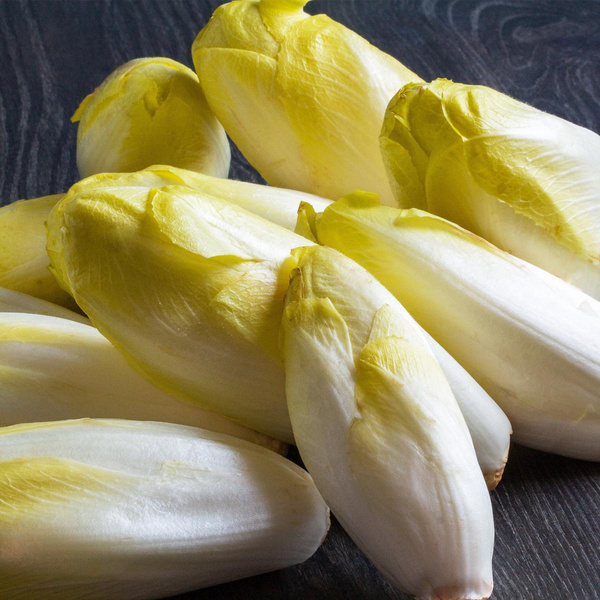 Produktfoto zu Chicoree