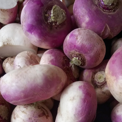 Produktfoto zu Rübchen weiß_violett