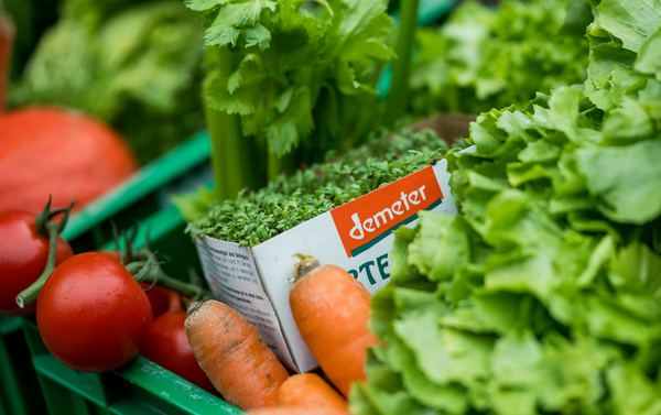 KI generiert: Hauptinhalt: Demeter-Kiste mit Gemüse und Bio-Produkten.