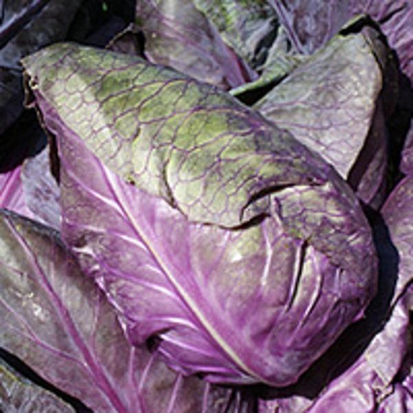 Produktfoto zu Rotkohl Stück, 0,5-0,9kg