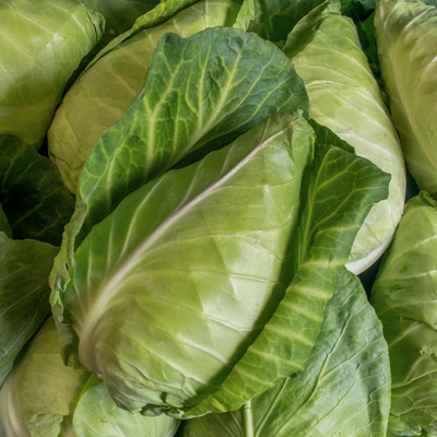 Produktfoto zu Spitzkohl, 400g+