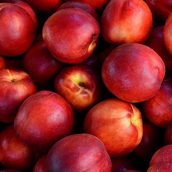 Produktfoto zu Nektarinen