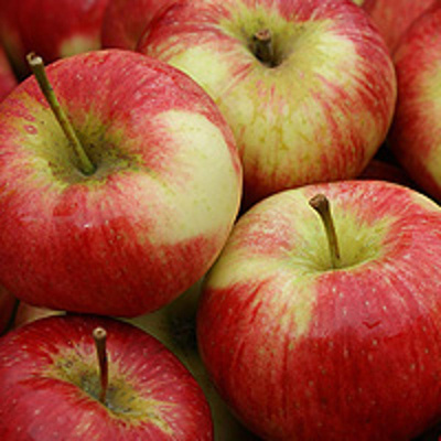 Produktfoto zu Apfel Sunrise, neue Ernte