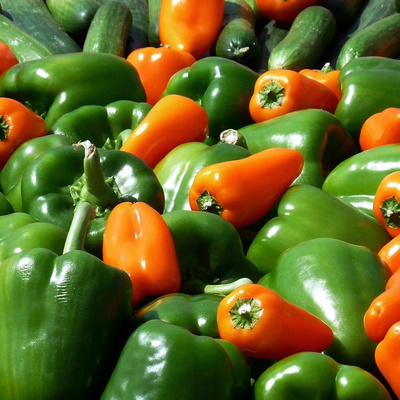 Produktfoto zu Paprika bunt Mix