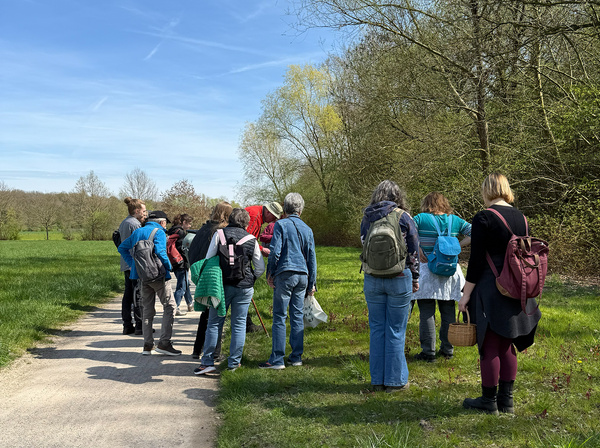 Kräuterwanderung