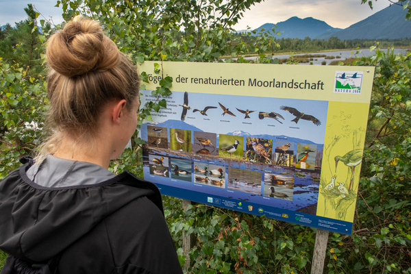 Infotafel Moor