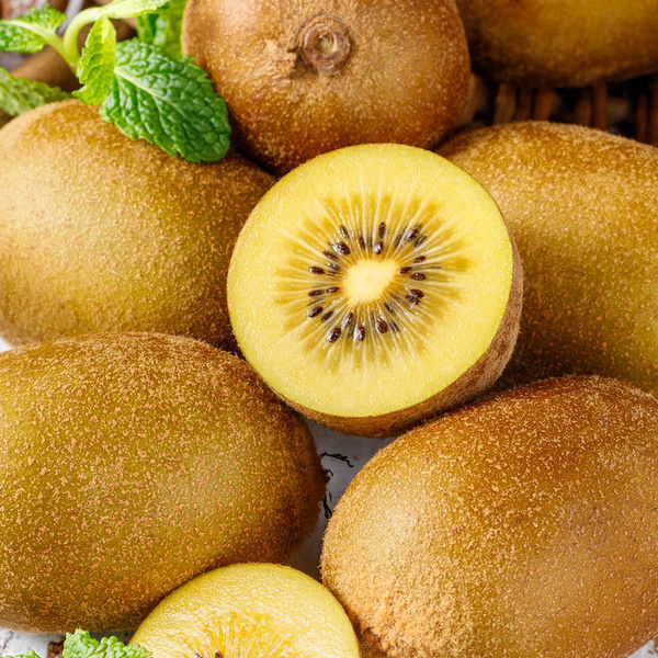 Produktfoto zu Kiwi gold, gelbfleischig