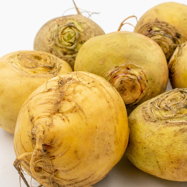 Produktfoto zu Mairübchen lose